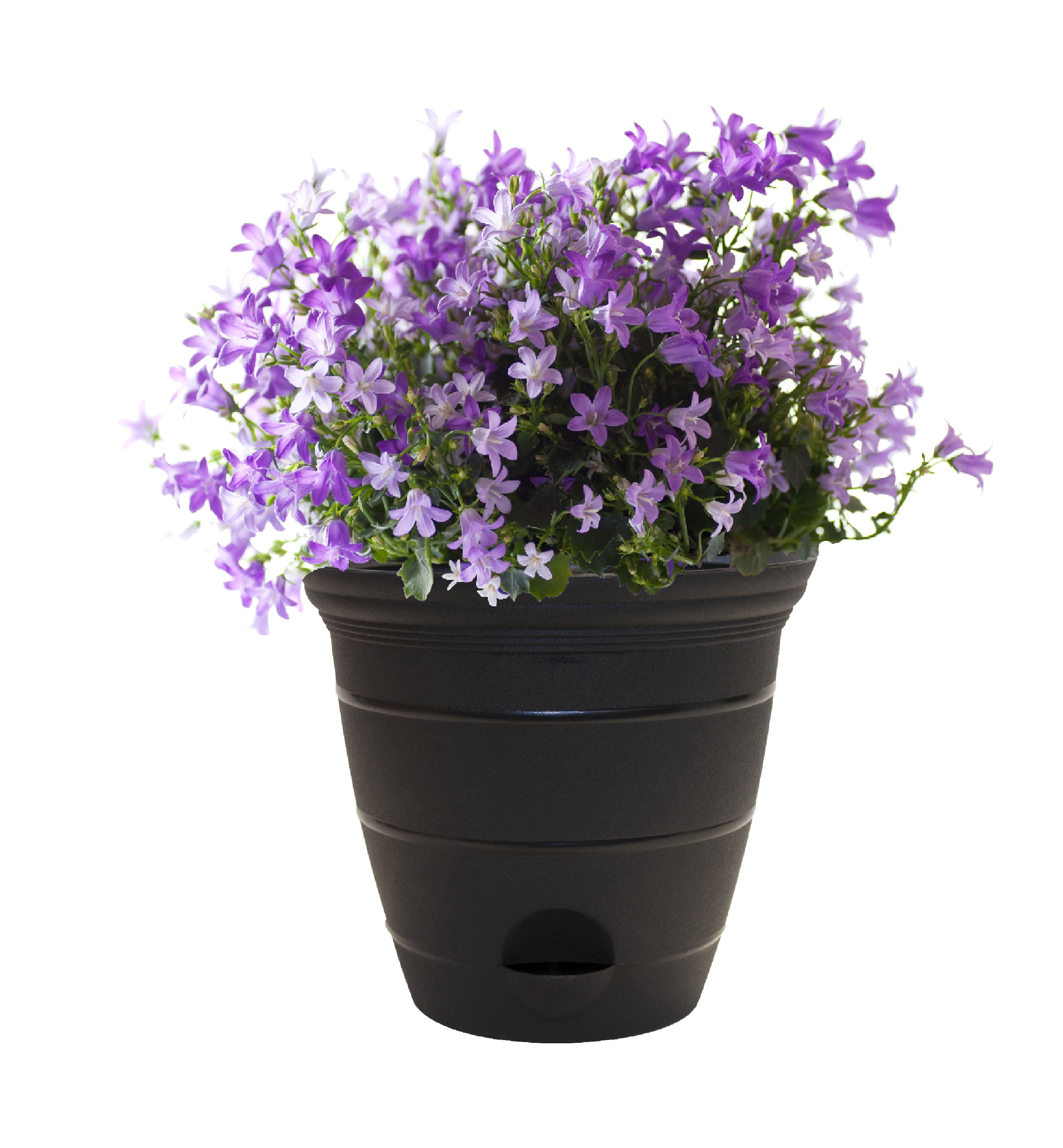 Misco 8" x 8" x 7" Round Black Resin Plant Planter
