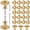 Gold, variant on Gold Cabinet Knobs 25 Pack, 1.18" Solid Zinc Alloy Drawer Knobs, Rustproof Round Hardware for Dressers with 2-Size Screws, Wekvgz