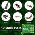 thumbnail image 5 of Natural Peppermint Rodent Repellent Balls, Plant Essential Oil Pest Deterrent for Rats, Squirrels & Spiders, Kid & Pet Safe Indoor Outdoor Repellent, Multiple Count Sizes Available, 5 of 10