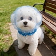 thumbnail image 5 of Dog Face Net & Mesh Head Cover – Breathable Foxtail Protection for Dogs, Elastic Anti-Scavenge Hood for Small Dogs, Outdoor Walking, Park, Travel, 5 of 9