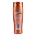 thumbnail image 2 of Dabur Vatika Shikakai Shampoo 400ml, 2 of 2