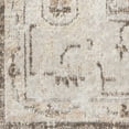 thumbnail image 3 of Nourison Astra Machine Washable 5'3" x Round Beige Vintage Indoor Rug, 3 of 9