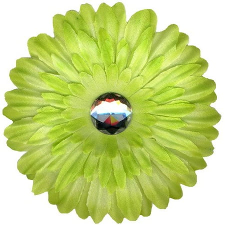 Gerbera Daisy, Lime