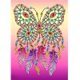 thumbnail image 1 of Cuadros Decorativos Diamond Painting Dream Catcher Net Taladro Especial Parcial Imagen (HB191) Sywqhk Nuevos Originales, 1 of 9
