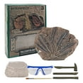 thumbnail image 3 of Real Archaeological Excavation Dinosaur Skeleton DIY Archaeological Plaster Dinosaurs, 3 of 3