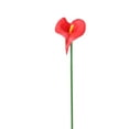thumbnail image 2 of Artificial Calla Lily 10Pcs Red, Artificial Calla Flowers Wedding Bouquet Flower Decor Flower 10Pcs Home Decoration Faux Calla Lilies Flower (Calla Lily*10 Pieces), 2 of 4
