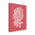 thumbnail image 2 of Trademark Fine Art 'Corals White on Coral c' Canvas Art by Fab Funky, 2 of 3