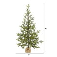 thumbnail image 4 of Nearly Natural 4' Green Fir Artificial Christmas Tree Prelit 100 Clear LED Lights, 4 of 6