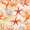 Orange Starfish, variant on FORMRS Boys Rash Guard with Short Sleeves UPF 50+ Swim Shirts Sizes 3-12T, White Starfish