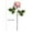 as show#5, variant on Artificial Single Rose - Realistic Faux Flower for Home Decor, Weddings & Events - Lifelike Silk Rose - Elegant Gift for Anniversaries, Birthdays - Long-Lasting Beauty, No Maintenance Needed