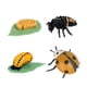 thumbnail image 5 of Figuras de ciclo de vida de animales, figuras de acción de vida educativas, figuras de jardín DIY, materiales de enseñanza para niños de 3, 4, 5, 6 y, 5 of 10