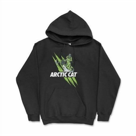 Arctic Cat Snowmobile ZR800 The Cat is Back