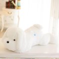 thumbnail image 3 of LSLJS Led Luminous Cute Papa Dog Big Dog Doll Will Luminous Plush Toy, 3 of 3