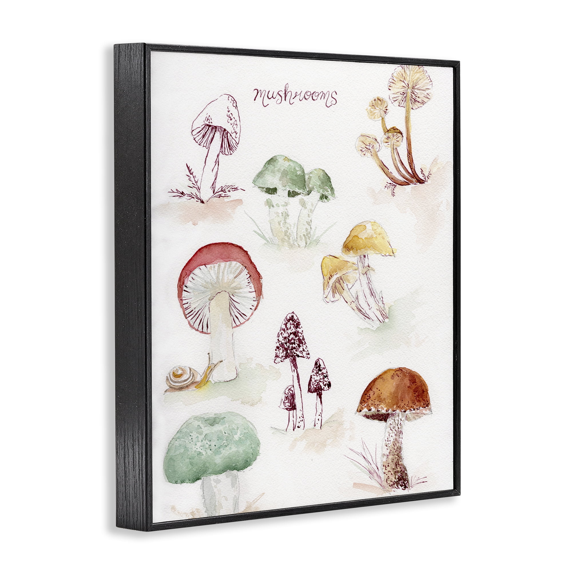 Stupell Industries Types Of Mushrooms Botanical & Floral Painting Black Framed Art Print Wall Art, 16 x 20