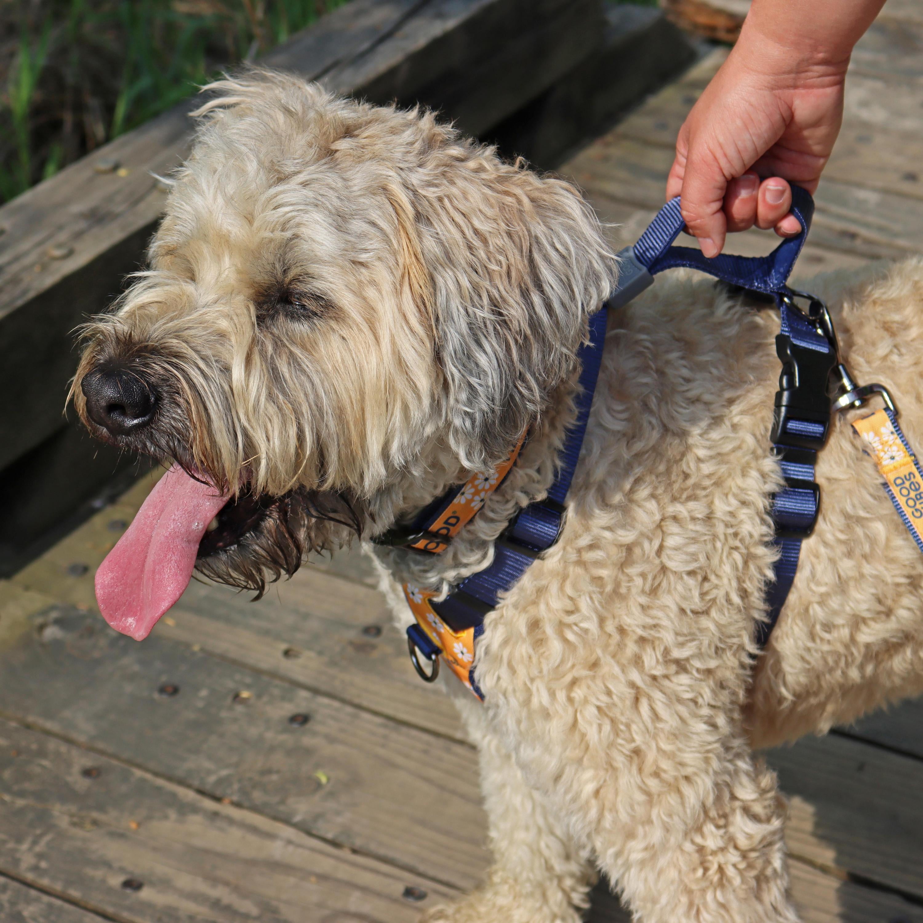 Life is Good Canvas Overlay Dog Harness Yellow Good Vibes 1 x 20 30 Medium