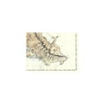 thumbnail image 2 of Historic County Map - Oahu County Hawaii - Lyons 1881 - Vintage Wall Art, 2 of 4