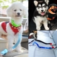 thumbnail image 5 of Clip de Arnés de Sujeción Seguro Ajustable para Mascotas, , Perros, Cinturón - Naranja, 5 of 5