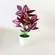 thumbnail image 5 of Gwong Decoración hogareña Planta en maceta Lifelike Artificial Bonsai Decoración de escritorio Fake Green Plant para la exhibición del hogar Gwong 21056910, 5 of 6