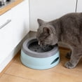 thumbnail image 4 of Spill Proof Pet Water Bowl, No Spill Slow Feeder Water Bowl for Dogs & Cats, Vehicle Car Travel Water Bowl with Floating Disk Design, Keeps Floors Dry & Paws Clean, Sky Blue, 4 of 5