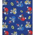thumbnail image 4 of Sonic the Hedgehog Boys' Sonic And Friends 2 Piece Shorts Kids Pajama Set, 4 of 4
