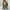 Army Green, variant on Early Access Deals Ofreoo Women's Fashion Lapel Long Sleeve Casual Jacket Zipper Coat Women Fashion