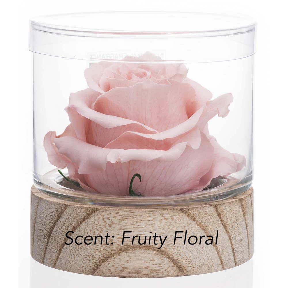 Natural Fragrance Rose Lasts 4 Months Pink Natural Happy Mood