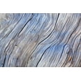 thumbnail image 2 of Mahan, Kathy 24x17 Gold Ornate Wood Framed with Double Matting Museum Art Print Titled - Weathered Wood IV, 2 of 4