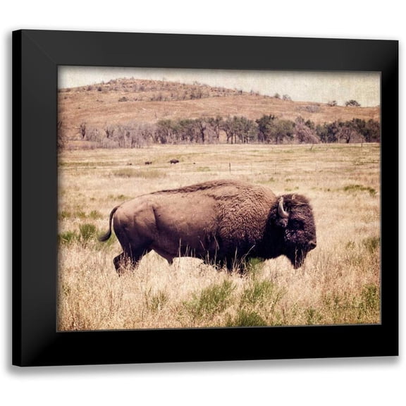 Van Swearingen, Debra 14x12 Black Modern Framed Museum Art Print Titled - Buffalo I