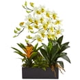 thumbnail image 1 of Arrangement de Dendrobium et Broméliacée, 1 of 4