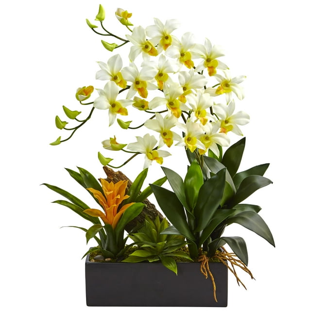 Arrangement de Dendrobium et Broméliacée
