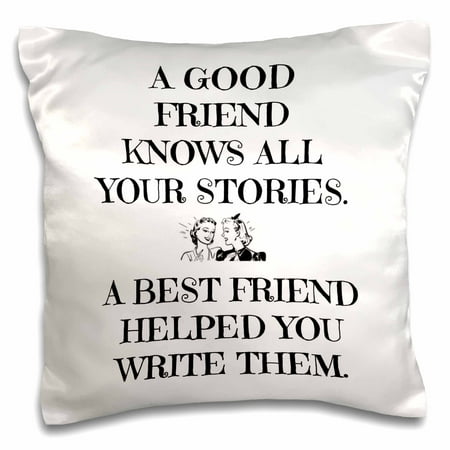 3dRose A good friend knows all your stories, best friend helped write them - Pillow Case, 16 by