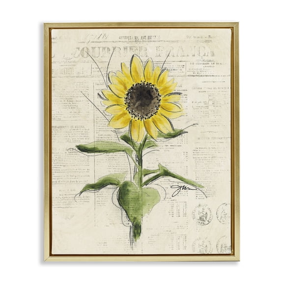 Stupell Industries Shabby Chic Vintage Sunflower Gold Floating Frame Canvas Art, 25 x 31, by Julie Norkus