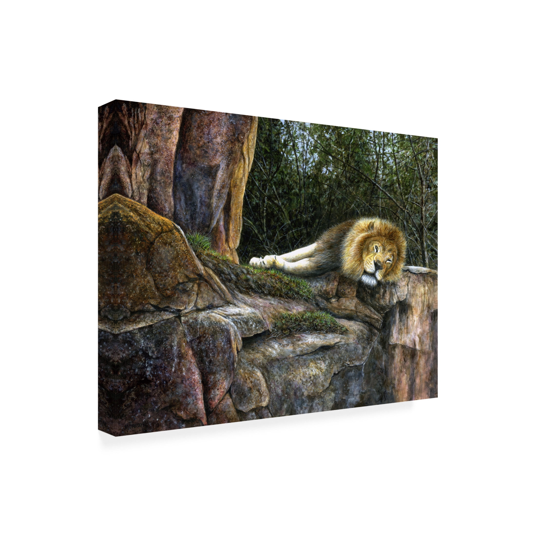 Canvas Wall Art - John Morrow 'In the Jungle' Wall Art for Living Room, Bedroom, or Office Décor by Trademark Fine Art - 32 x 32 Inches