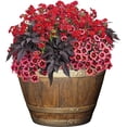 thumbnail image 3 of shiyou-Whiskey Barrel Planter, Distressed Oak, 15", 3 of 4