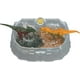 thumbnail image 1 of Jurassic World Dino Reveal 2 Dinosaur Toys in Battle Arena, Warm Water Changes Decoration, 1 of 6