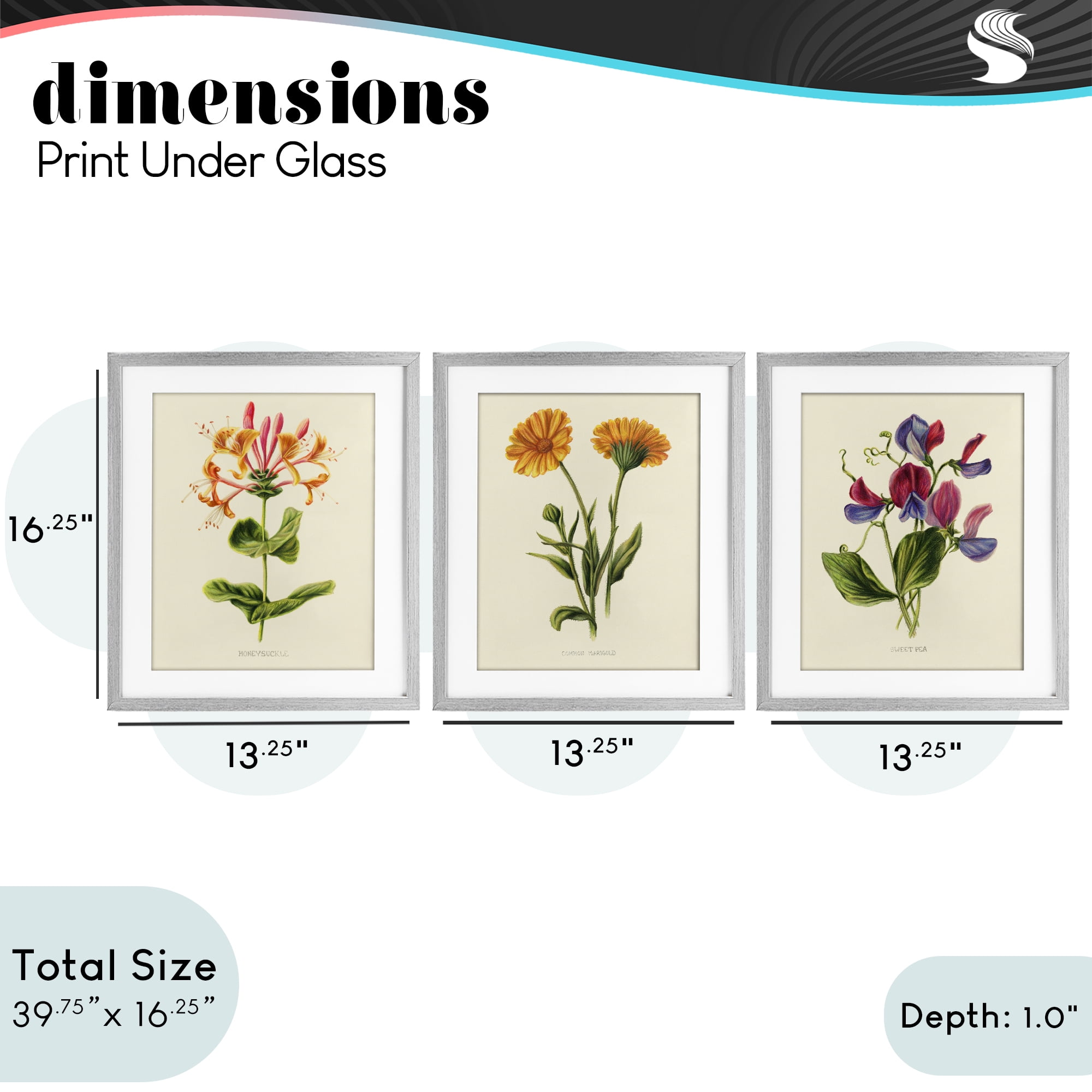 Stupell Industries Flowering Plants Vintage Illustration 3 Piece Gray Framed Print Under Glass Set, design by Connie Resch