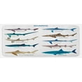 thumbnail image 1 of Shark Kitchen Mat, Types of Sharks Pattern Whaler Piked Dogfish Whlae Shark Maritime Design Nautical, Plush Decorative Kitchen Mat with Non Slip Backing, 47" X 19", Multicolor, by Ambesonne, 1 of 1