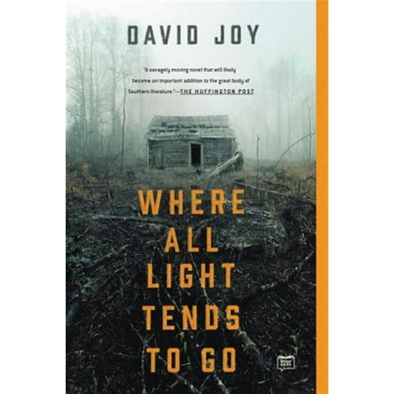 Pre-Owned Where All Light Tends to Go (Paperback) 0425279790 9780425279793
