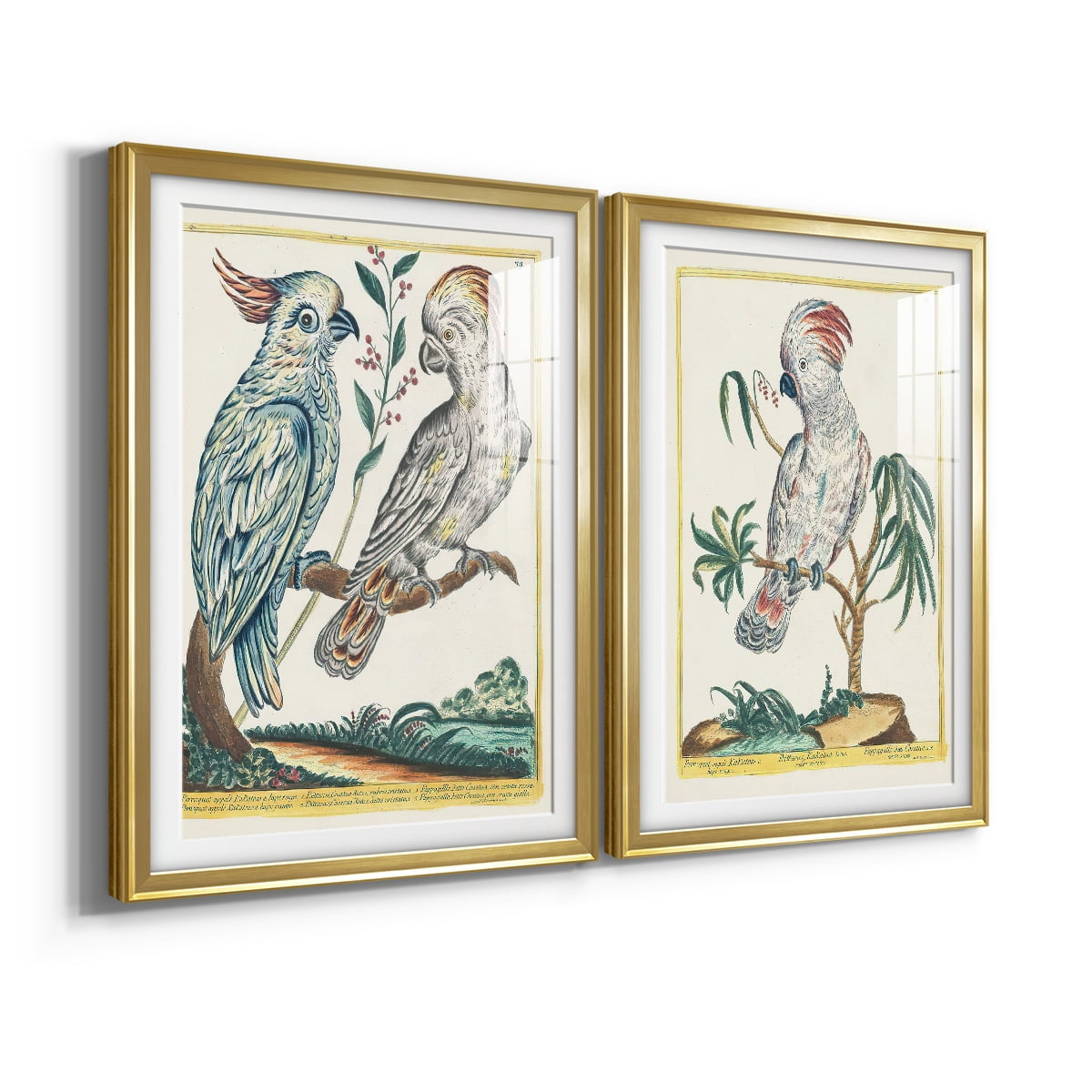 Wexford Home Pastel Birds I Premium Framed Print, 26.5" x 36.5" - Ready to Hang, Gold (Set of 2)