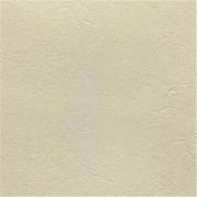 Lighthouse 4923 100 Percent Polyvinyl Chloride Fabric, Off White