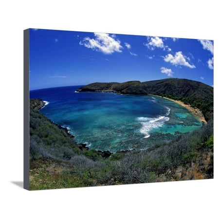 Hanauma Bay Is One of Oahu's Most Popular Snorkeling Sites, Hawaii, USA Stretched Canvas Print Wall Art By David