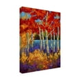 thumbnail image 3 of Trademark Fine Art Marion Rose Summers End Canvas Wall Art - 18x24, 3 of 5