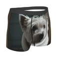 thumbnail image 3 of Kll Dog Wrapped In Towel 1 Men'S Cotton Boxer Briefs Underwear-X-Large, 3 of 9