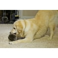 thumbnail image 6 of Hyper Pet Motion-Activated Jumping Tail Dog Toy with Fun Noises for Hyper Dogs, Gray, 9.5", 6 of 7