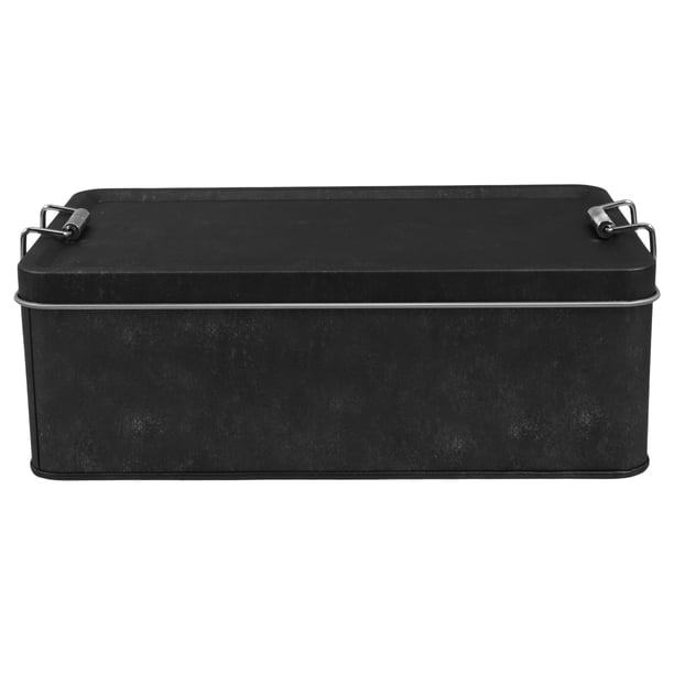 Caja de hojalata rectangular de metal con hebilla para guardar galletas de arándanos, dulces y pasteles de piña para usar en la encimera de la cocina.