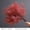 4 Generation Fog, variant on Red Poppy Flower Canvas Print Kitchen Entryway Wall Decor