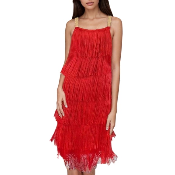 Women’s Dresses Flapper Dresses 20s Gatsby with All-Over Fringe Mini Dresses