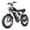 2000W-48V 20AH-34MPH, variant on Ridstar 2000W Electric Bike for Adult, 20" Fat Tire ,48V 20AH Electric Bicycle,Max 34MPH & 88Miles E-Mountain Bike UL2849
