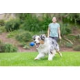 thumbnail image 2 of Chuckit! Sonic Ultra Squeaker Ball & Super Crunch Ball Fetch Dog Toy, Medium 2.5" for Dogs 20 to 60 lb, Blue, Pack of 2, 2 of 8