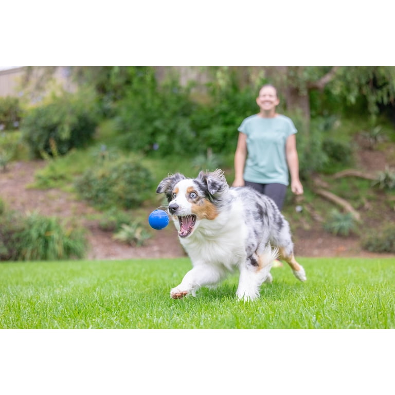 Chuckit! Sonic Fetch Pack, Medium 2.5" for Dogs 20-60 lb photo 2
